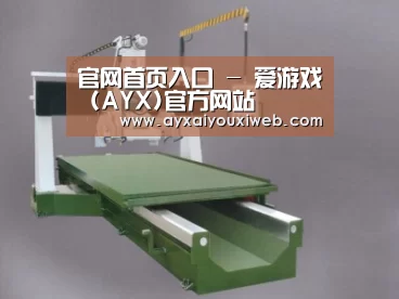 产品名称九