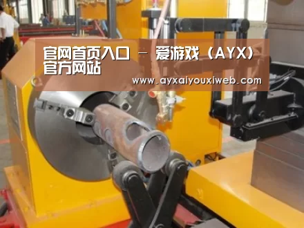 产品名称十三