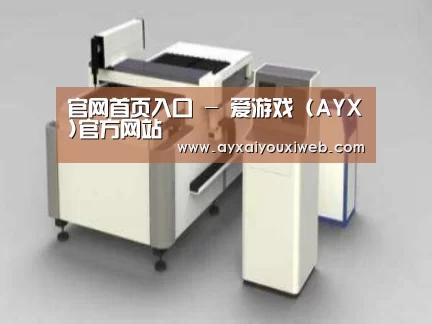 产品名称十三