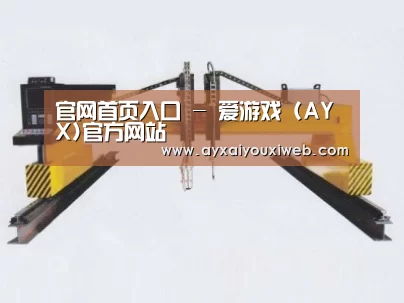 产品名称十七