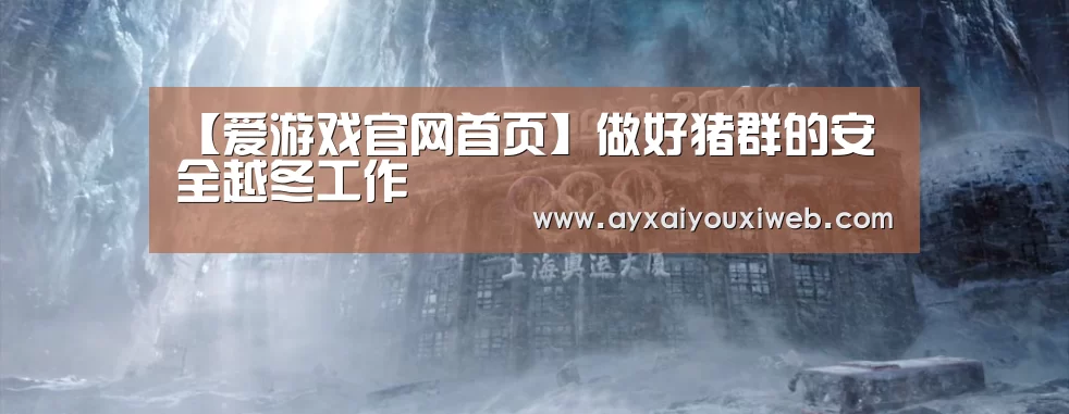 【爱游戏官网首页】做好猪群的安全越冬工作(图4) 爱游戏官方
