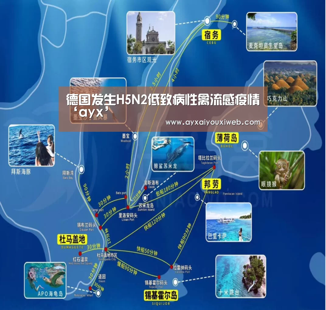 爱游戏官方